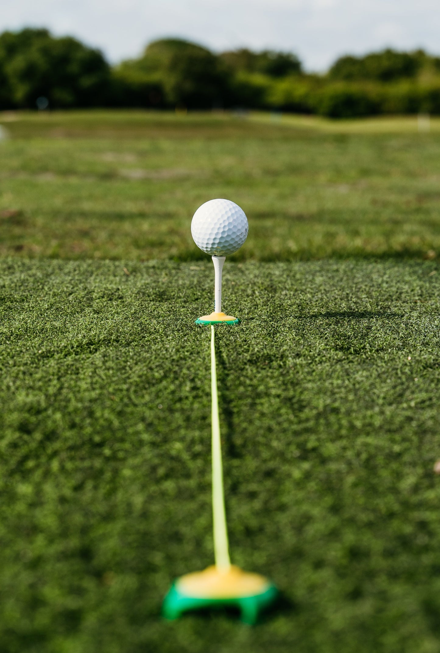 Tee Claw Four Pack (Black/Yellow)